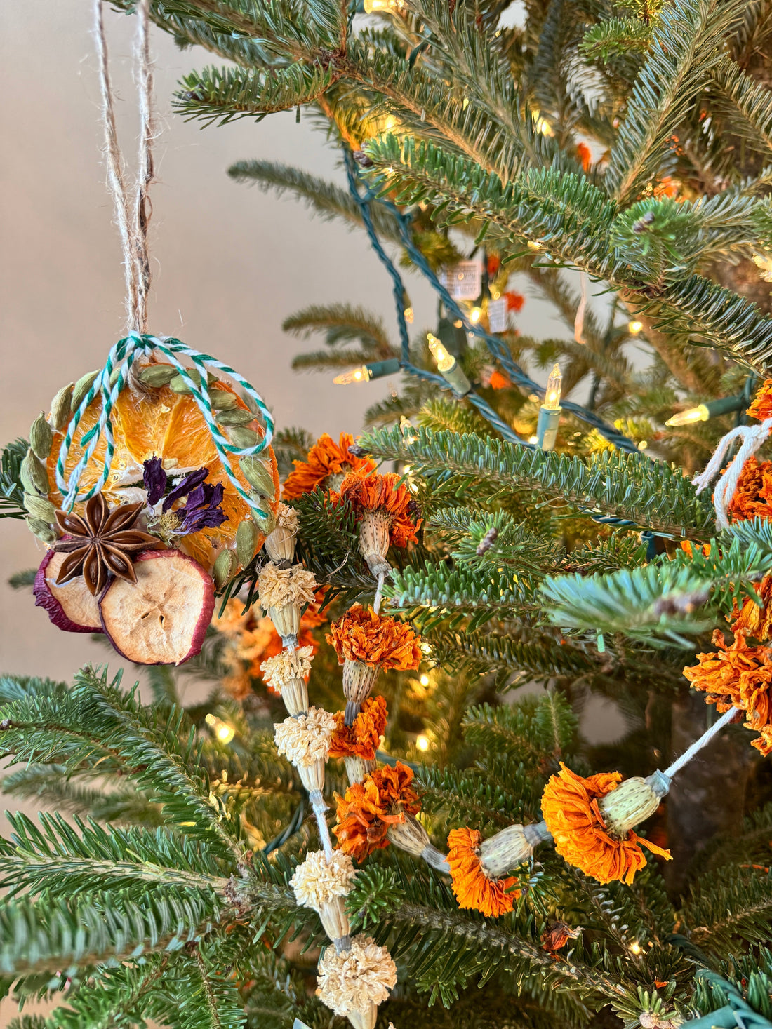 From Garden to Christmas Tree