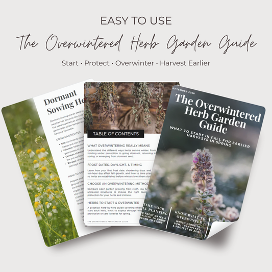 The Overwintered Herb Garden Guide