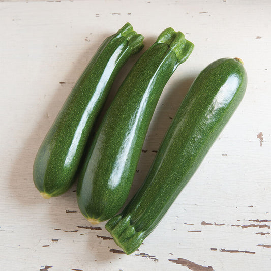 Dunja Zucchini