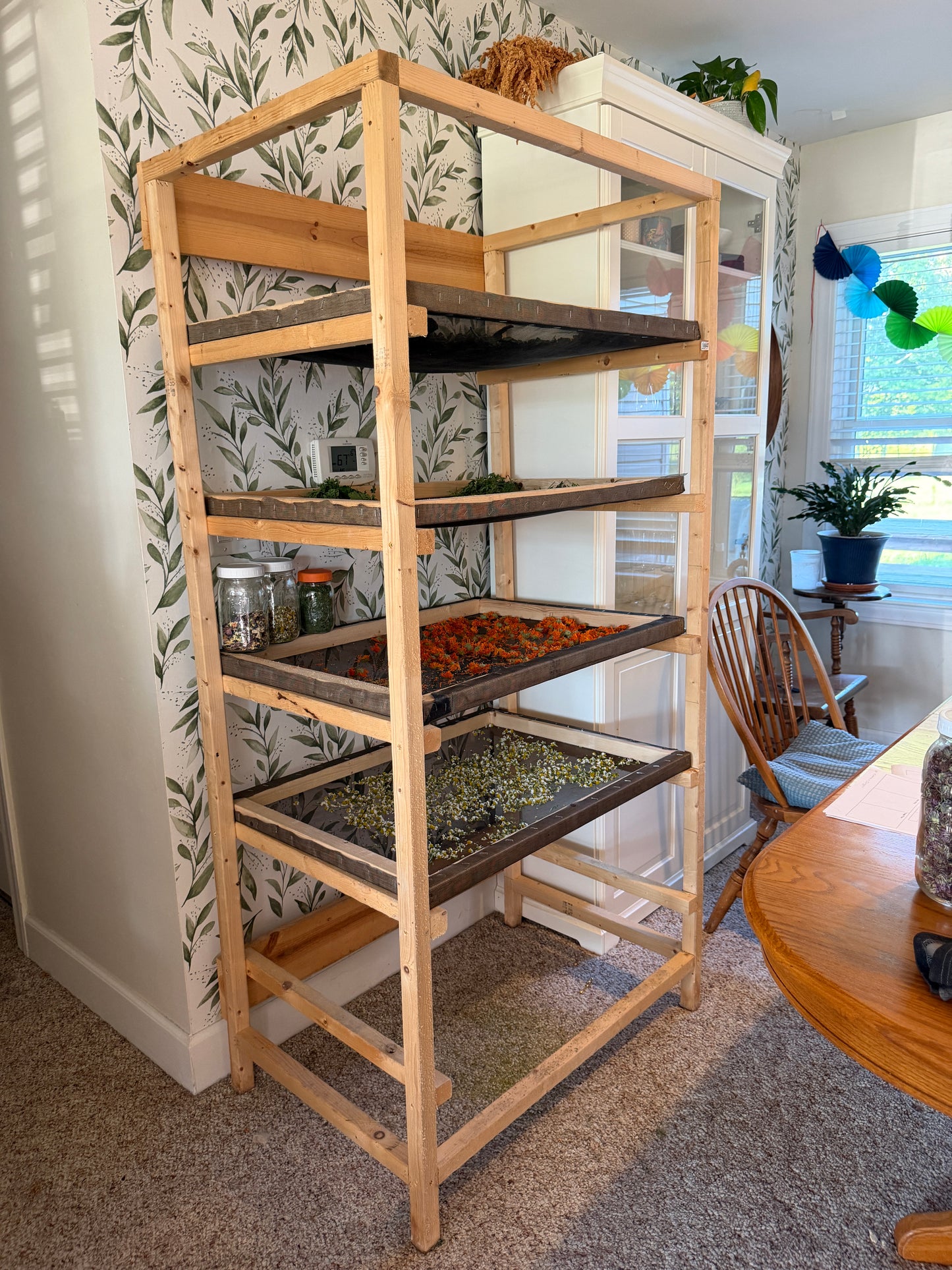 Herb Dry Rack Plans (PDF Download)