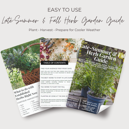 Late-Summer & Fall Herb Garden Guide