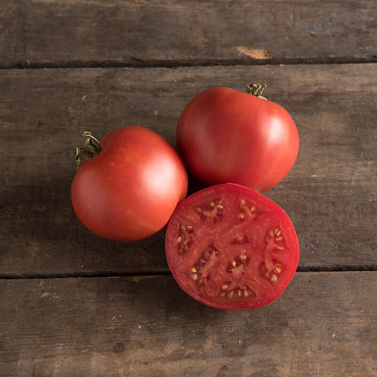 Moskvich Tomato Start - 3" Pot